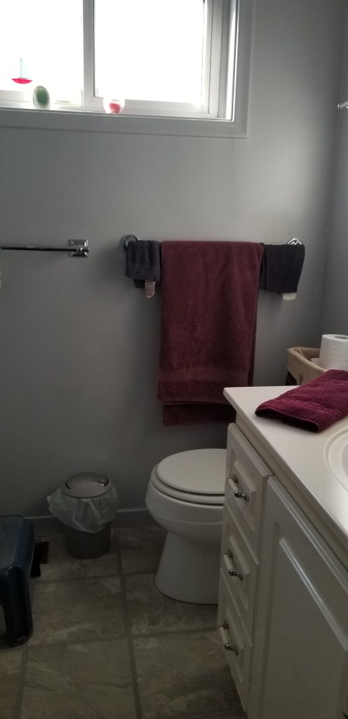 This Aurora bungalow was painted a dark gray which made it look dark and small.